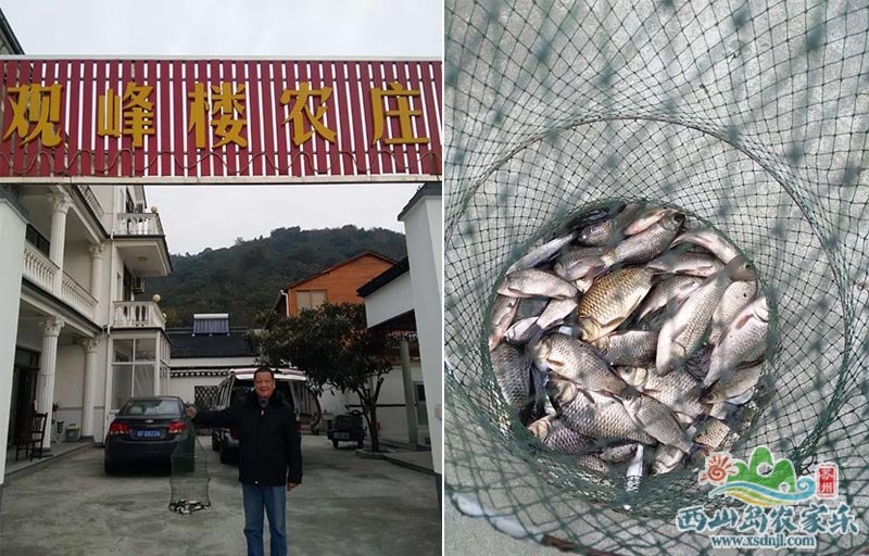 农家乐钓鱼战果不错