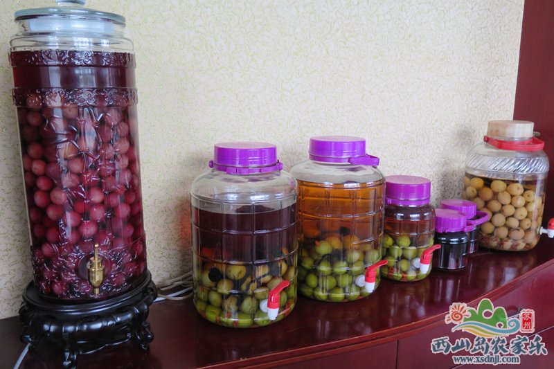 农家乐自制杨梅酒