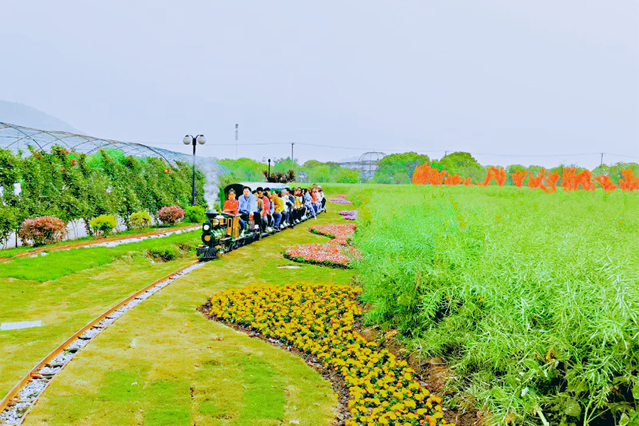 西山岛开心农场